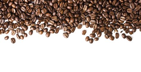 Coffee Bean Vector Png Clip Art Library