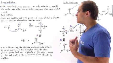 transesterification procedure Transesterification - included this 24h