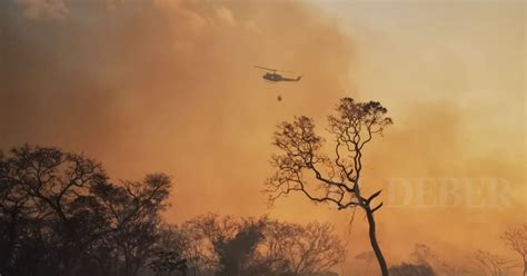 Fan 21 Millones De Hectáreas De Bosques Y Pastizales Fueron Arrasadas