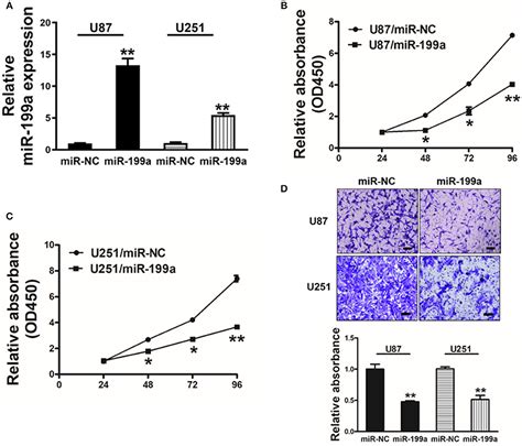 Frontiers Mir 199a Inhibits Tumor Growth And Attenuates