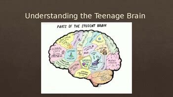 Understanding The Teenage Brain By Mynd School Tpt