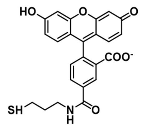 5 Fam C3 Sh｜5 Carboxyfluorescein C3 Thiol｜5 羧基荧光素c3巯基 德尔塔生物