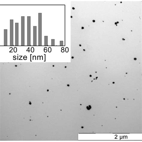 Tem Images And Corresponding Particle Size Distribution Histograms Of