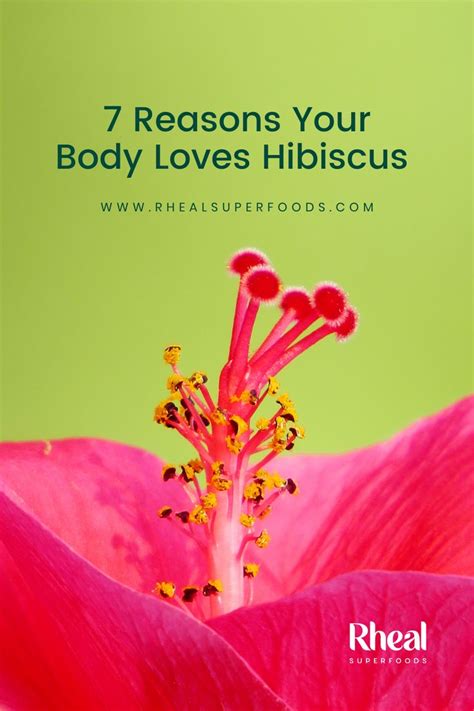 7 Health Benefits Of Hibiscus Boost Your Body With Flower Power