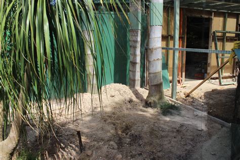 Fennec Fox Enclosure Zoochat