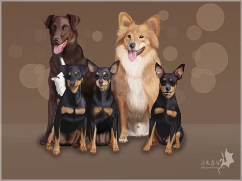 Commission Dogs By Naia Art On Deviantart