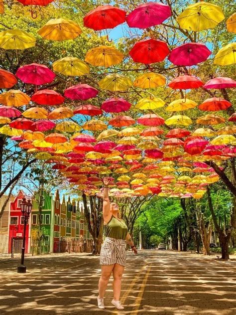 O Que Fazer Em Holambra Guia Completo Da Cidade Das Flores Brazil Hot