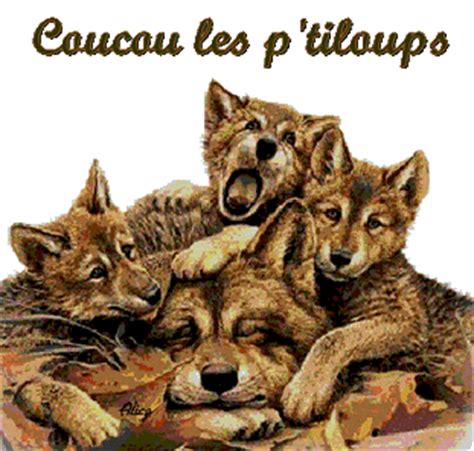 Coucou Les P Tits Loups Centerblog
