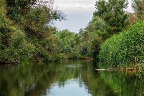 Landscape Of The Danube Delta In Romania Stock Image Image Of Delta