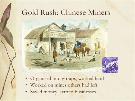 Gold Rush Australia Chinese Miners