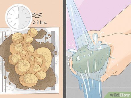 How to Grow Potatoes Indoors (with Pictures) - wikiHow