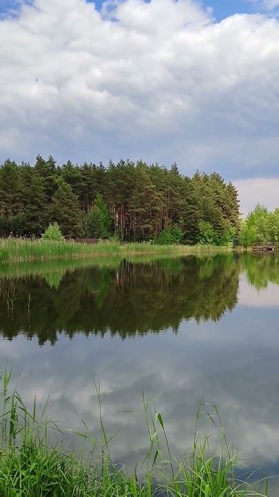 Красота в Пикник - Парке, Белгород. Beauty in the Picnic Park, Belgorod ...