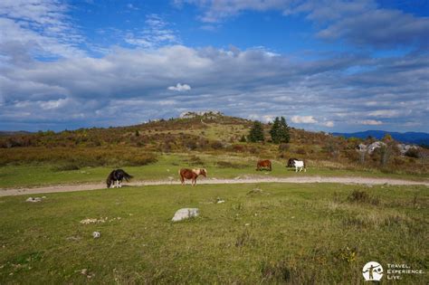 Hiking In Grayson Highlands State Park Virginia Travel Experience Live