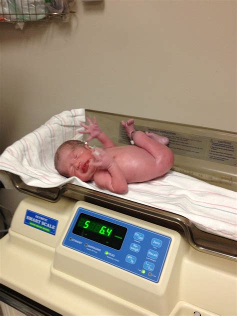 The Young Twin's: 36 weeks Pregnant & The Birth of Weston and Wyatt