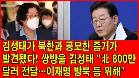 김성태가 북한과 공모한 증거가 발견됐다 쌍방울 김성태 北 800만 달러 전달…이재명 방북 등 위해 Youtube