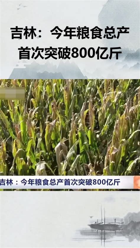 吉林：今年粮食总产首次突破800亿斤凤凰网视频凤凰网