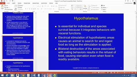 Chapter 17 18 Lecture Part 1 Diencephalon Functions and Disorders - YouTube