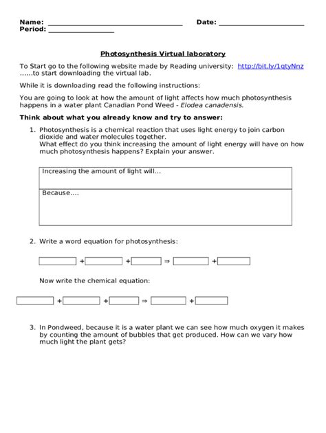 Photosynthesis Virtual Lab 1 Docx Name Date Period Doc Template