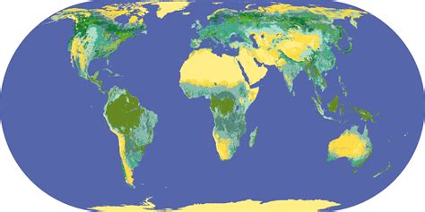 Download Global Land Cover Classification World Map Png Image With No