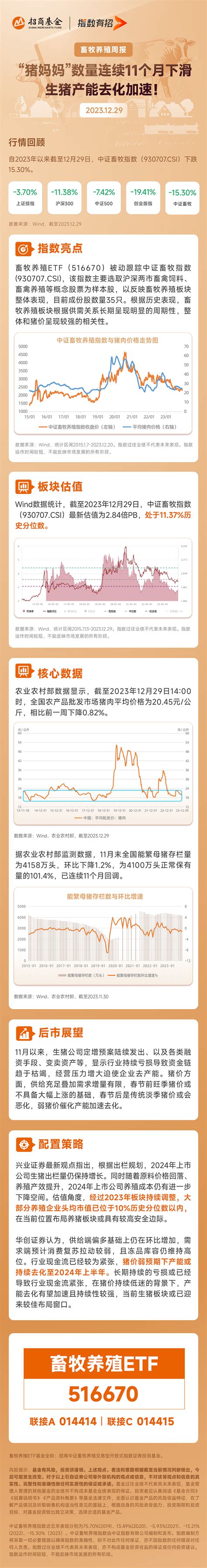 母猪数量连续11个月下滑，生猪产能去化加速！养殖板块畜牧