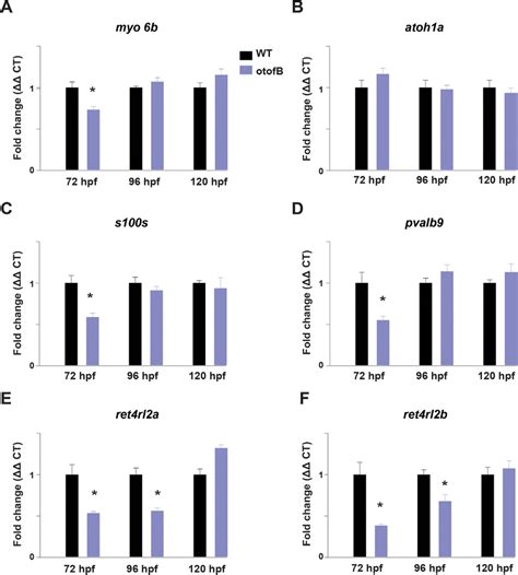 The Otofb Mutation Results In Altered Expression Of Hair Cell Related