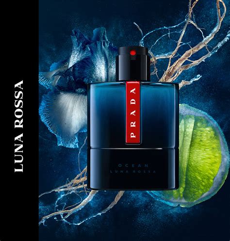 Introducir Imagen Perfume Prada Black Hombre Abzlocal Mx