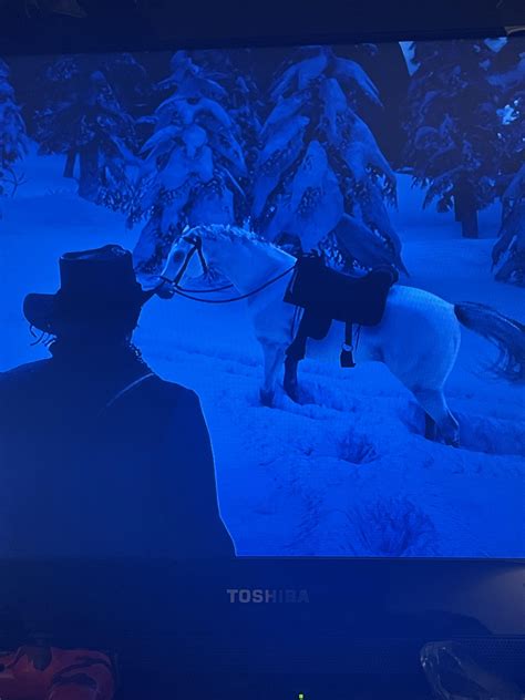 White coat Arabian : r/reddeadredemption2