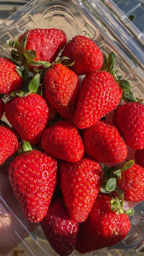 A Plastic Container Filled With Lots Of Ripe Strawberries On Top Of A