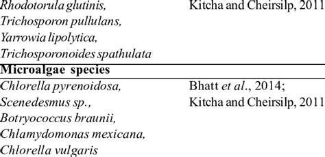 Major oleaginous yeast and microalgae used for biofuel production ... 