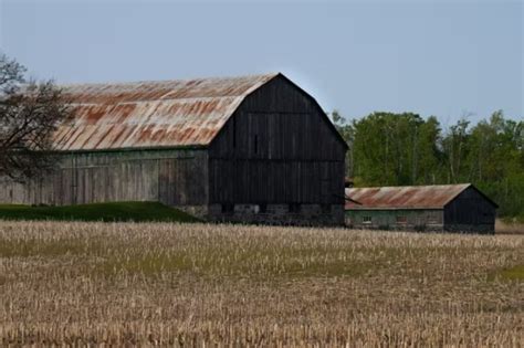 Why Is Doug Ford Doubling Down Amid Ontario’s Greenbelt Scandal News York