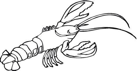 Lobster outline lobster claw pattern use the printable outline for ...