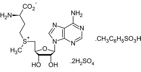 Sam E S Adenosyl L Methionine Disulfate Tosylate Methyl Donor