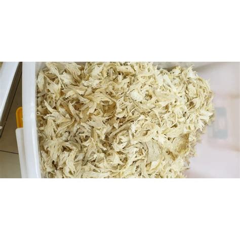 Jual Sarang Burung Walet Bird Nest Patahan Kecil 100 Gram Shopee