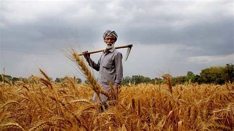 Govt Approves Schemes To Increase Farmers Income Ensure Food Security