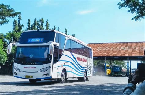 Tiket Bus Pahala Kencana Online Info Rute Bus Pahala Kencana