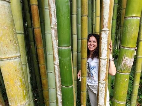 Visitare I Giardini Di Ninfa Latina Viaggiatrice Da Grande
