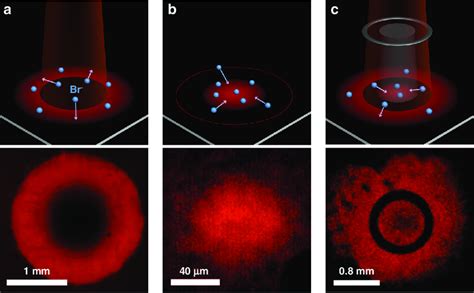 Schematic Illustration And Experimental Photoluminescence Mapping Of Br Download Scientific