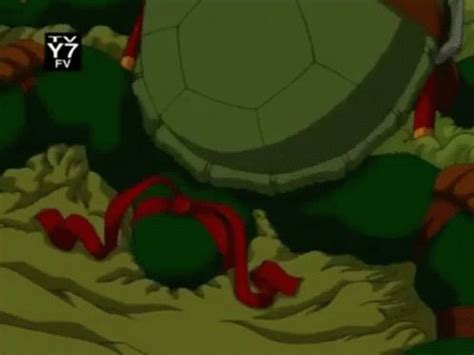 TMNT 2003 Raph GIF - Discover & Share