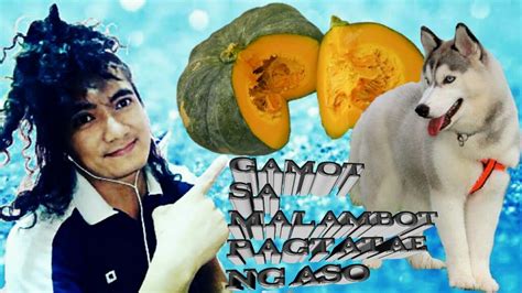 MABISANG GAMOT SA PAGTATAE NG ASO YouTube