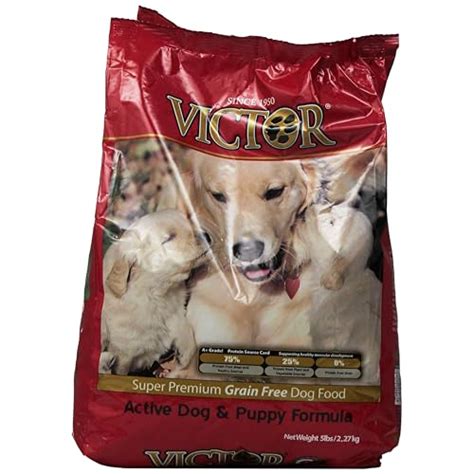 6 Best Grain Free Puppy Foods 2020 | Happy Pets Now