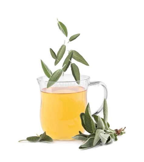 Fresh Sage Leaves Falling Into Cup Of Freshly Brewed Tea On White