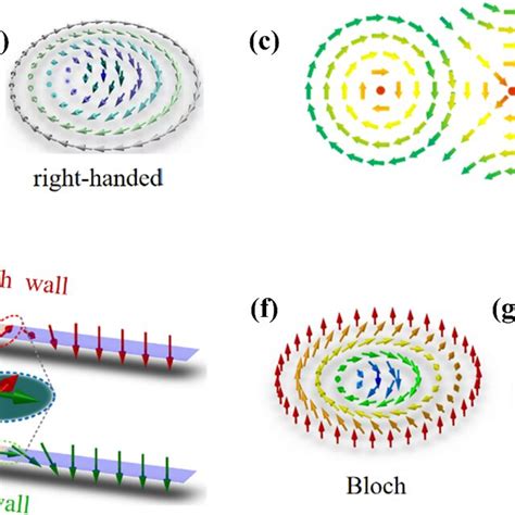 The Three Dimensional Distributions Of Magnetization In The