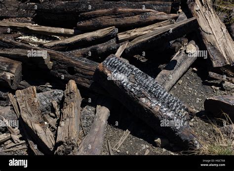 Charcoal Logs Hi Res Stock Photography And Images Alamy