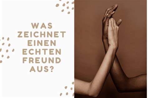 Spr Che Freundschaft Lustig Freundschaft Lust Aufleben