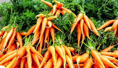 5 Tips For Marketing And Selling More Carrots Hobby Farms