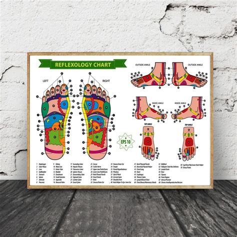 Reflexology Wall Chart Posters A Visual Reference Of Charts Chart Master