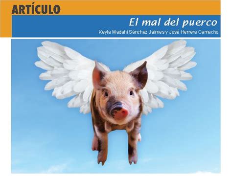 El Mal Del Puerco