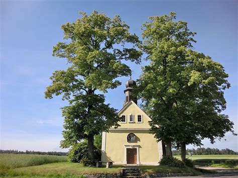 Schlammersdorf Städte und Gemeinden ErlebnisRegion Oberpfälzer Wald