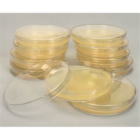 Pre Poured Plate Count Agar PCA Plates Sterile Sleeve Of 20