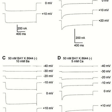 Ca² dependent inactivation of Ca² current in the cloned cardiac Ca²